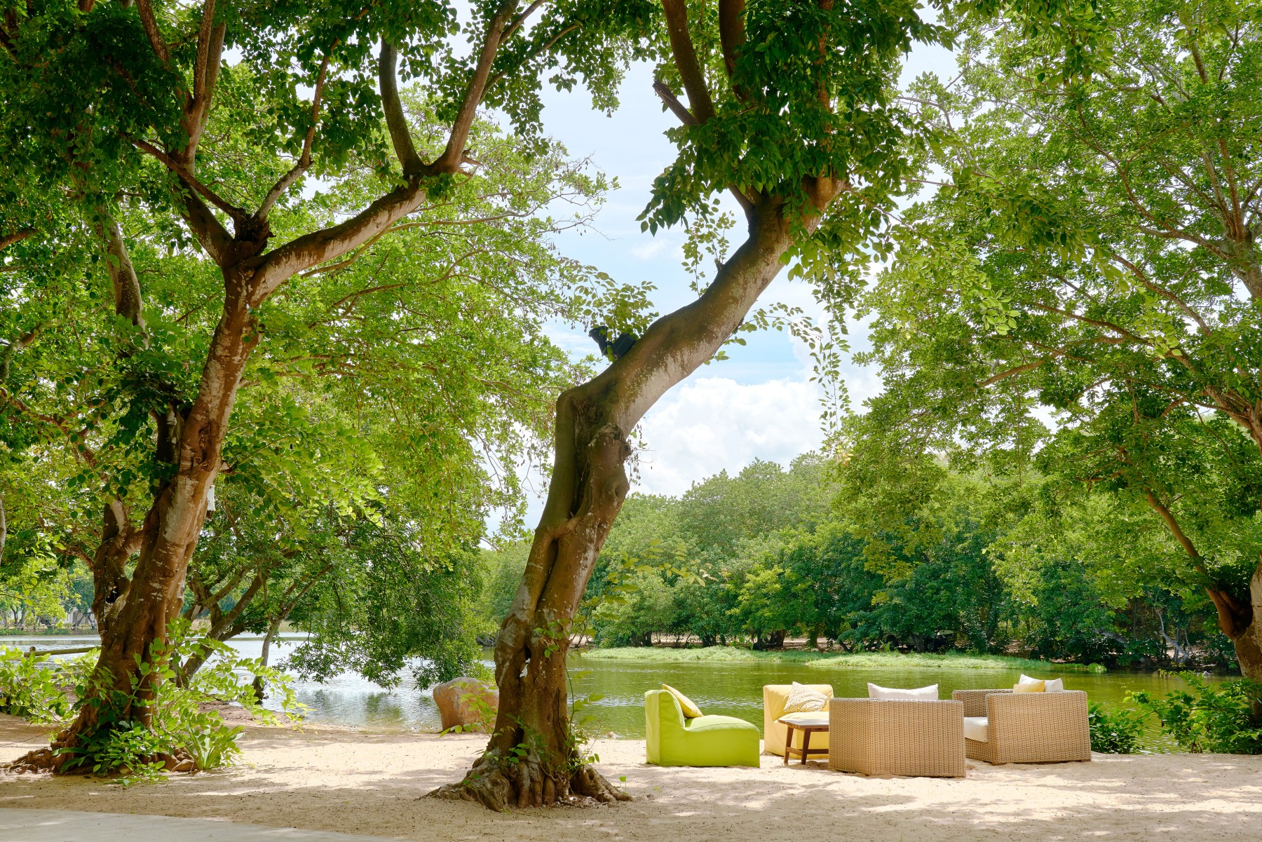 The Ravenala Attitude